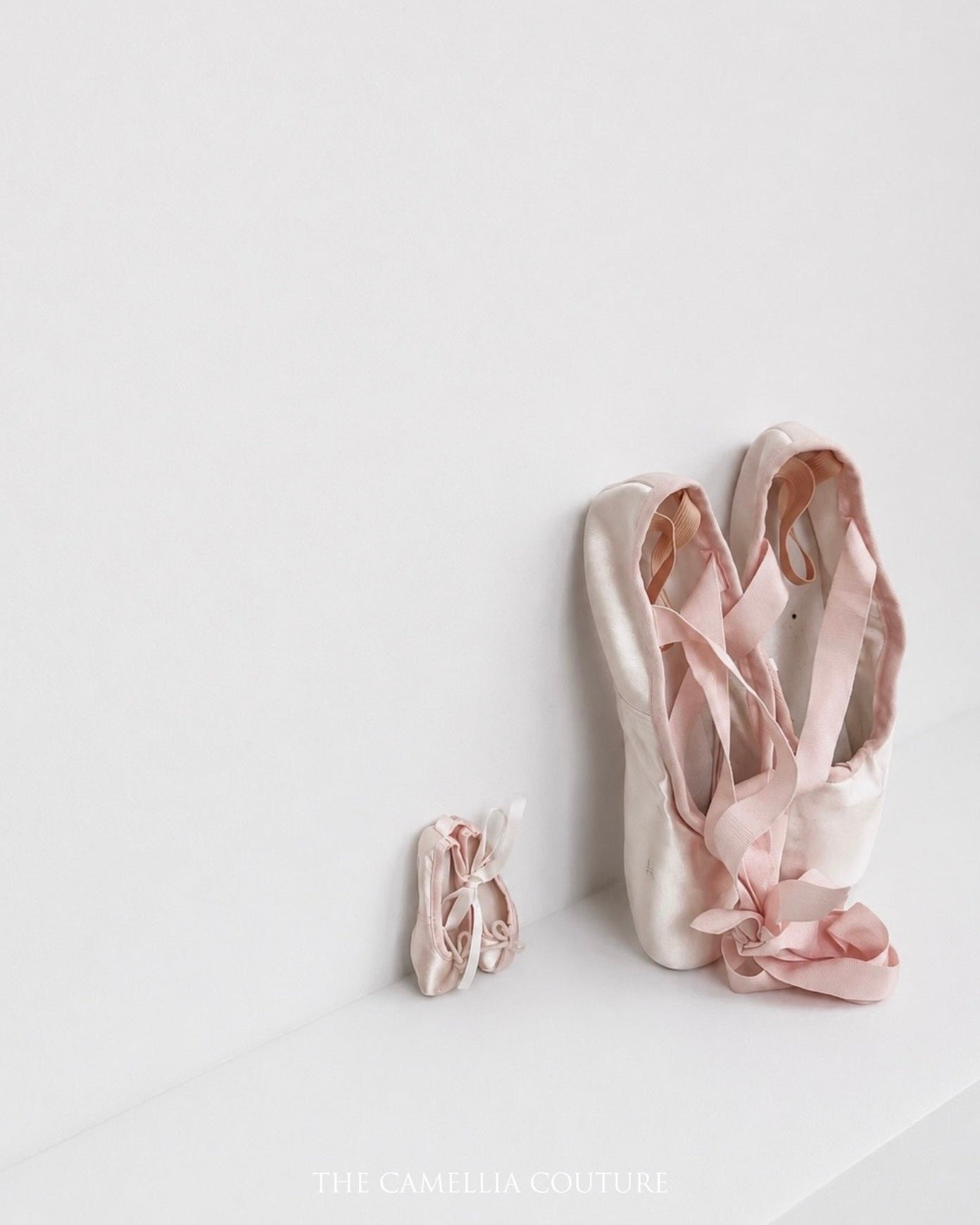 Style: Ballet Bunny